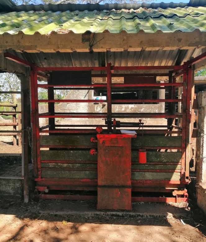 Rancho Productivo de 300 Hectáreas | Región Olmeca | Oportunidad Agroindustrial