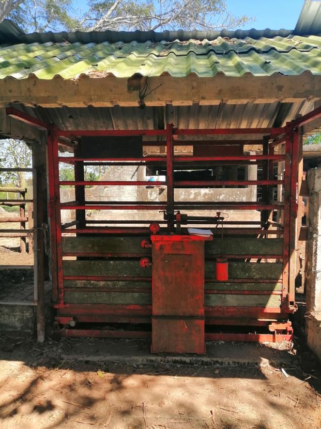 Rancho Productivo de 300 Hectáreas | Región Olmeca | Oportunidad Agroindustrial