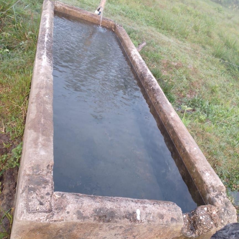 Rancho Productivo de 300 Hectáreas | Región Olmeca | Oportunidad Agroindustrial