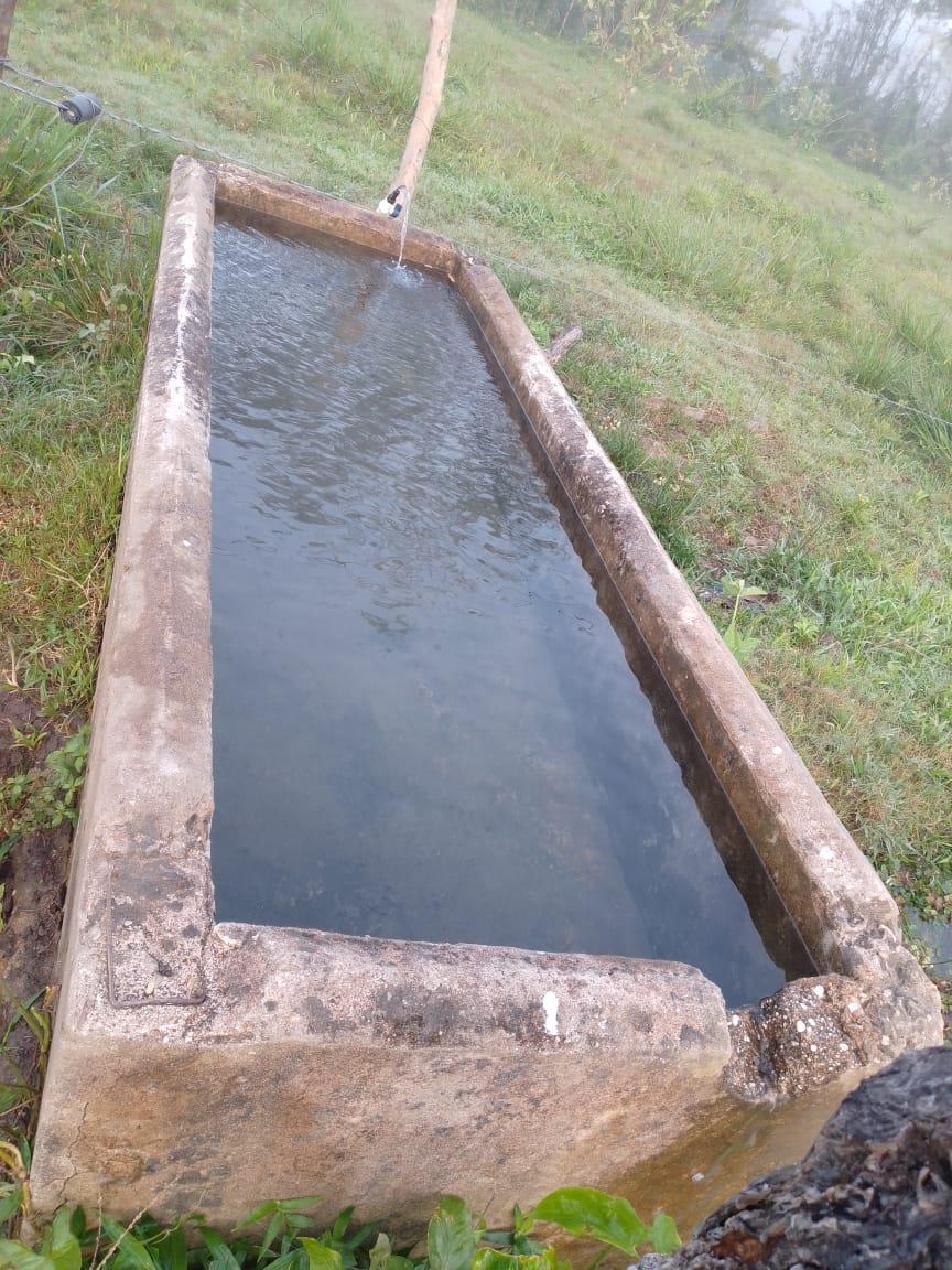 Rancho Productivo de 300 Hectáreas | Región Olmeca | Oportunidad Agroindustrial
