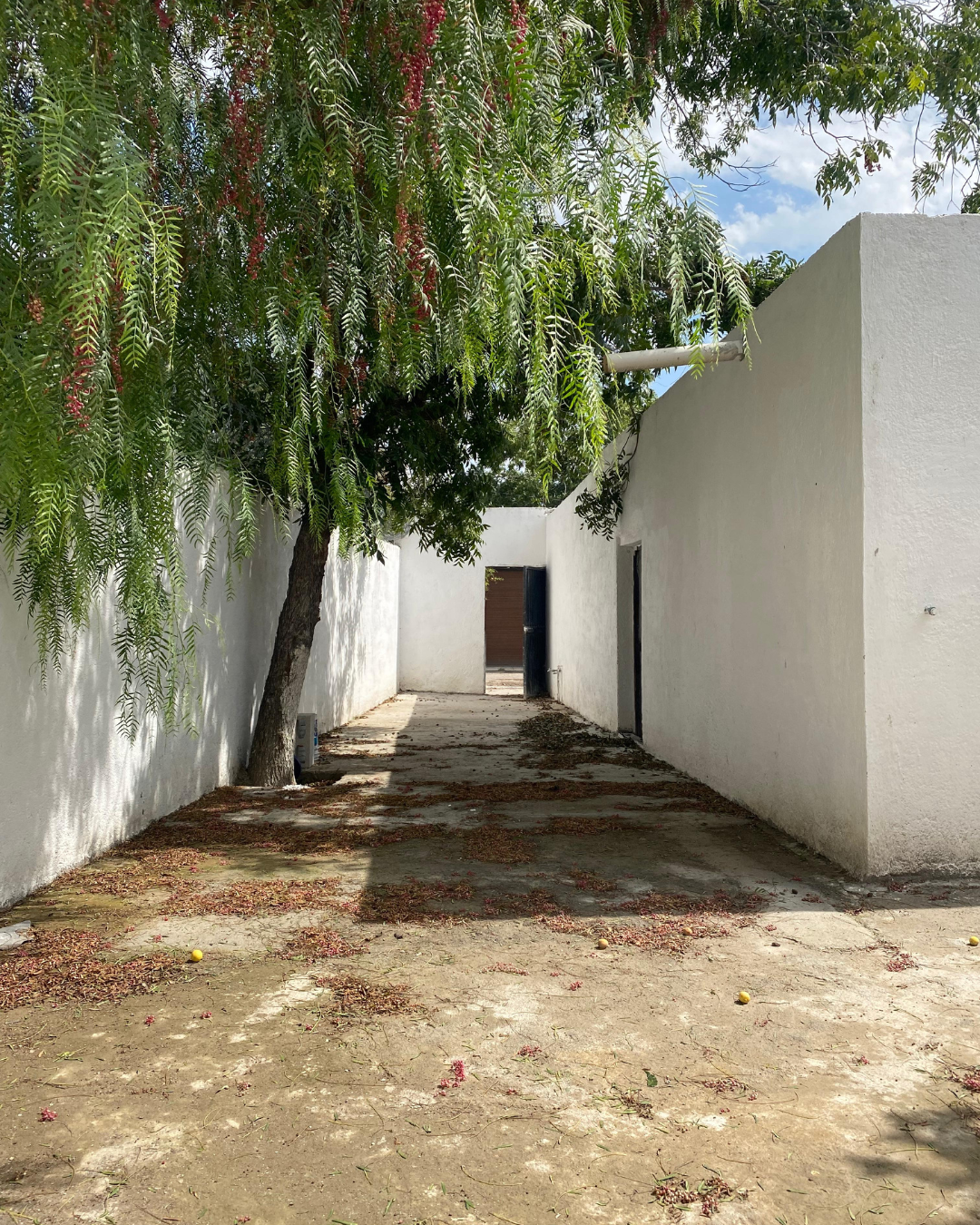 246 🏡 CASA EN VENTA | 4 Habitacione