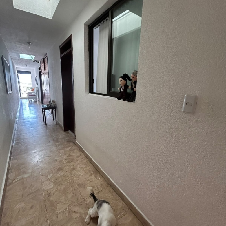 Residencia de Lujo Versátil (Casa o Corporativo) | Col. Petrolera