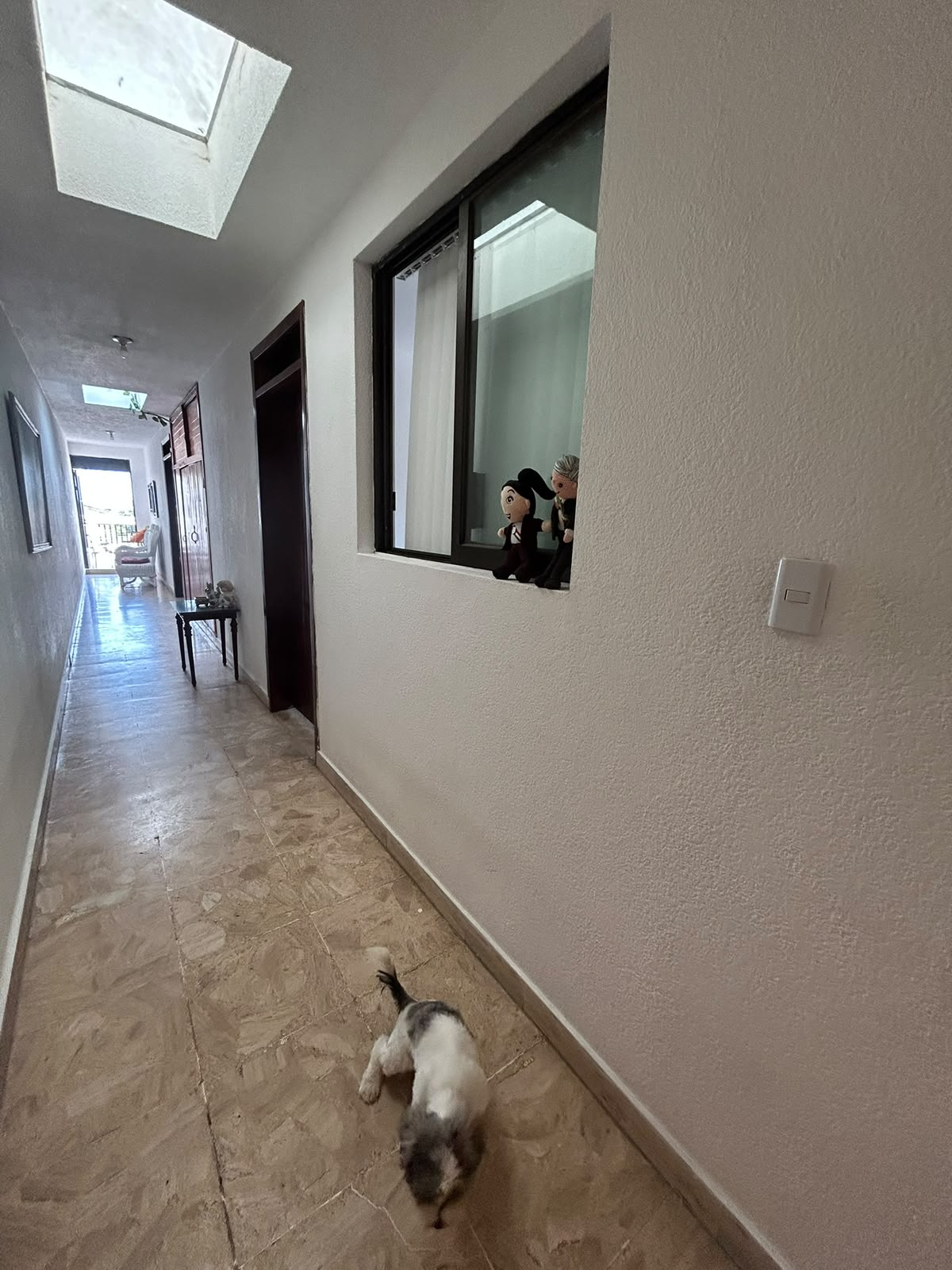 Residencia de Lujo Versátil (Casa o Corporativo) | Col. Petrolera