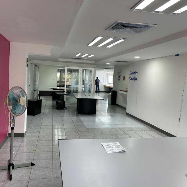 Local comercial 450 m² (2 disponibles) l Excelente ubicación