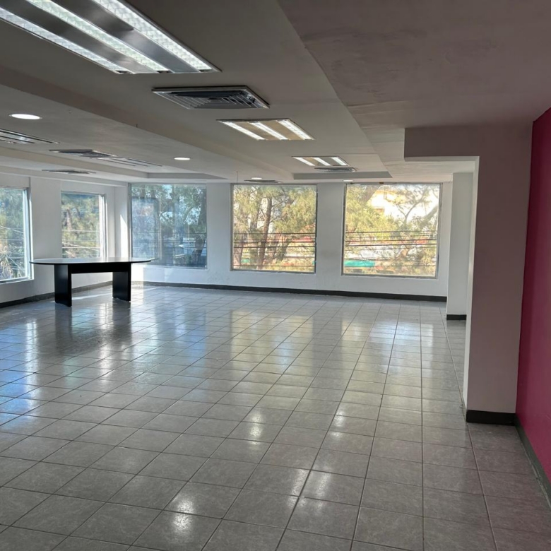 Local comercial 450 m² (2 disponibles) l Excelente ubicación