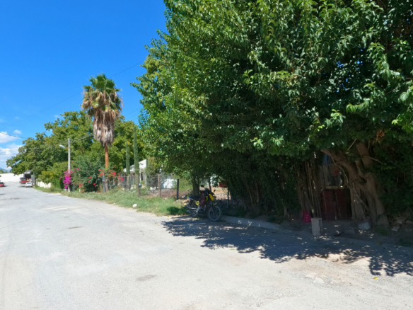 🌳 TERRENO EN VENTA CON 5 NOGALES