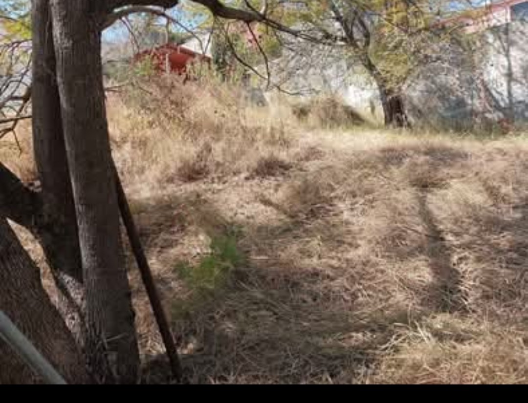 Hermoso Terreno En Lomas del Crestón