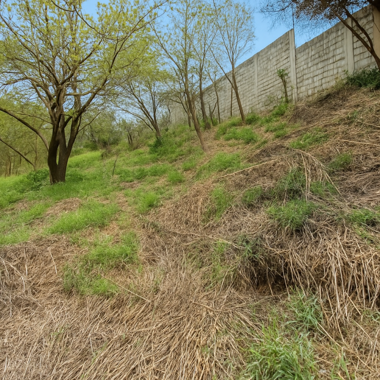 Terreno en venta. Guadalupe Victoria