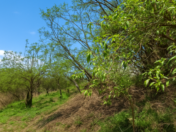 Terreno en venta. Guadalupe Victoria