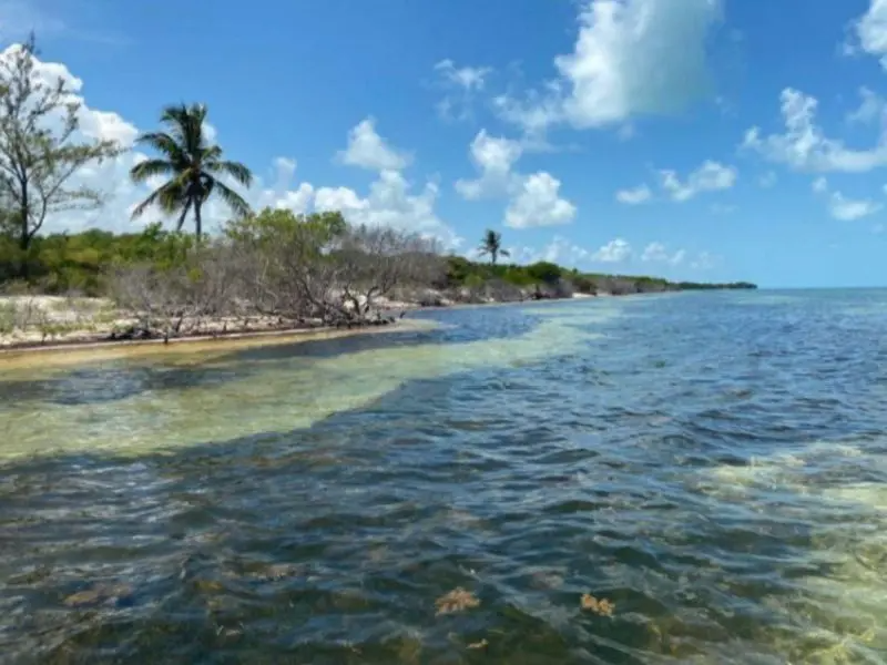 Predio “Santa Rosa” – Isla Blanca, Quintana Roo
