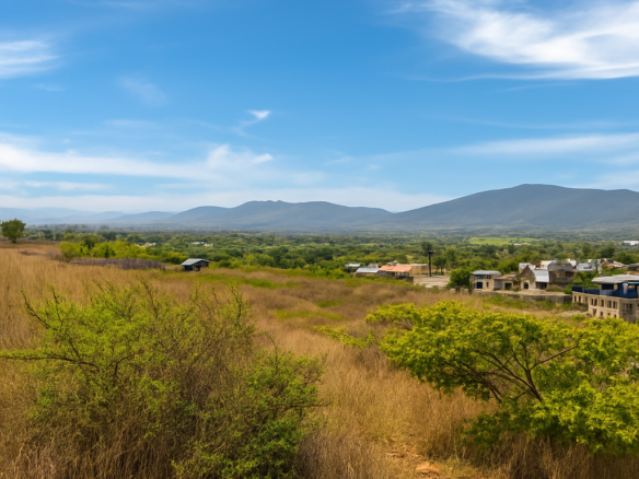 Terreno en renta en Lachigolo